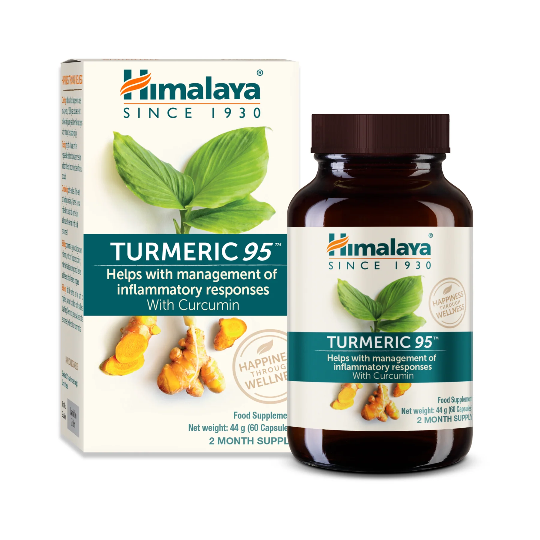 TURMERIC 95 (CURCUMIN)